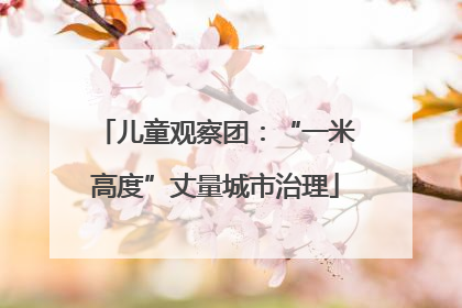 儿童观察团：“一米高度”丈量城市治理