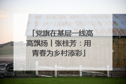 党旗在基层一线高高飘扬丨张桂芳：用青春为乡村添彩