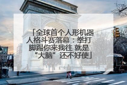 全球首个人形机器人格斗赛落幕：拳打脚踢你来我往 就是“大脑”还不好使
