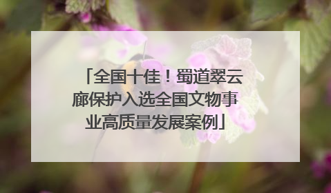 全国十佳！蜀道翠云廊保护入选全国文物事业高质量发展案例