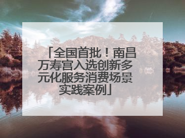 全国首批！南昌万寿宫入选创新多元化服务消费场景实践案例