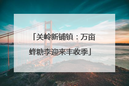 关岭新铺镇：万亩蜂糖李迎来丰收季