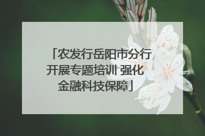 农发行岳阳市分行开展专题培训 强化金融科技保障