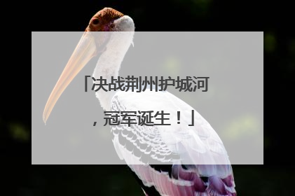 决战荆州护城河，冠军诞生！