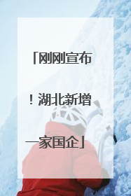 刚刚宣布！湖北新增一家国企