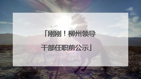 刚刚！柳州领导干部任职前公示