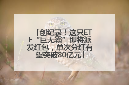 创纪录！这只ETF“巨无霸”即将派发红包，单次分红有望突破80亿元