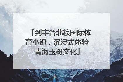 到丰台北粮国际体育小镇，沉浸式体验青海玉树文化
