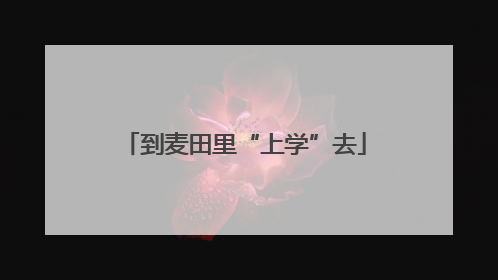到麦田里“上学”去