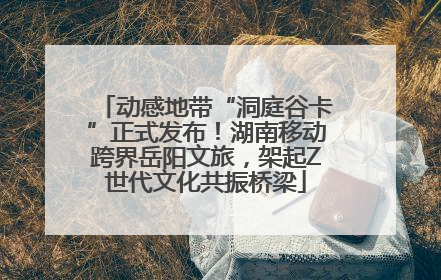 动感地带“洞庭谷卡”正式发布！湖南移动跨界岳阳文旅，架起Z世代文化共振桥梁