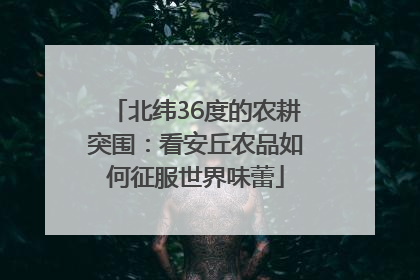 北纬36度的农耕突围：看安丘农品如何征服世界味蕾