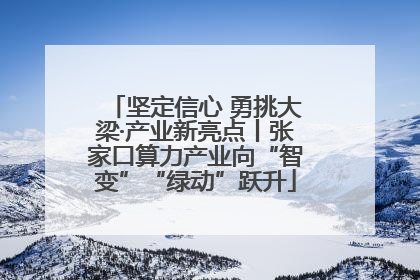 坚定信心 勇挑大梁·产业新亮点丨张家口算力产业向“智变”“绿动”跃升