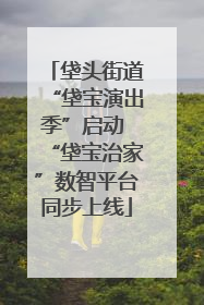 垡头街道“垡宝演出季”启动 “垡宝治家”数智平台同步上线