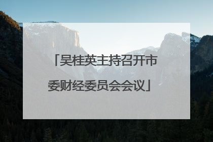 吴桂英主持召开市委财经委员会会议