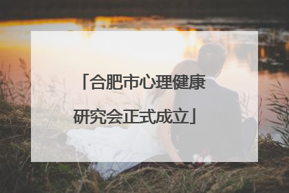 合肥市心理健康研究会正式成立