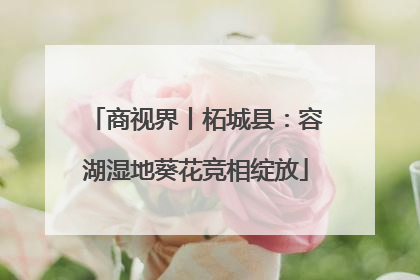 商视界丨柘城县：容湖湿地葵花竞相绽放