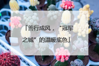 善行成风，“冠军之城”的温暖底色