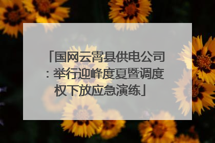 国网云霄县供电公司：举行迎峰度夏暨调度权下放应急演练