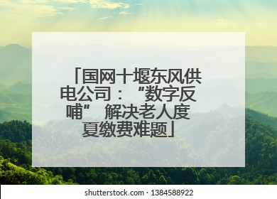 国网十堰东风供电公司：“数字反哺” 解决老人度夏缴费难题