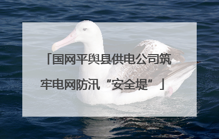 国网平舆县供电公司筑牢电网防汛“安全堤”