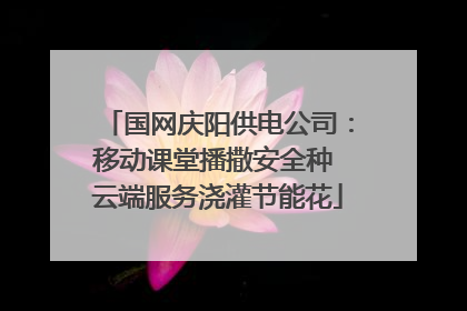 国网庆阳供电公司：移动课堂播撒安全种 云端服务浇灌节能花