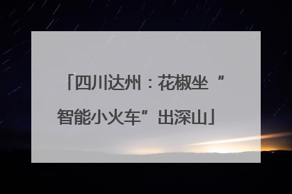 四川达州：花椒坐“智能小火车”出深山