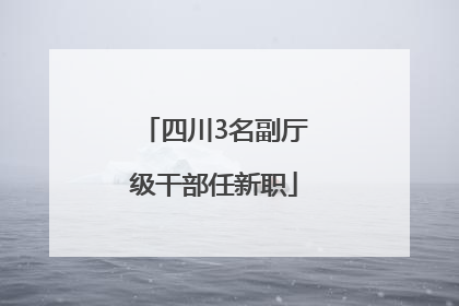 四川3名副厅级干部任新职