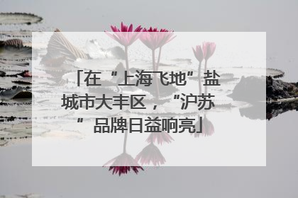 在“上海飞地”盐城市大丰区，“沪苏”品牌日益响亮