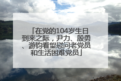 在党的104岁生日到来之际，尹力、殷勇、游钧看望慰问老党员和生活困难党员