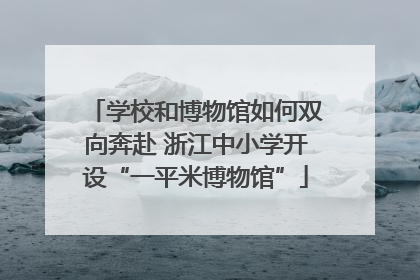 学校和博物馆如何双向奔赴 浙江中小学开设“一平米博物馆”