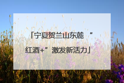 宁夏贺兰山东麓 “红酒+”激发新活力