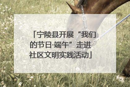 宁陵县开展“我们的节日·端午”走进社区文明实践活动