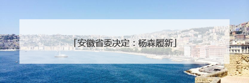 安徽省委决定：杨森履新
