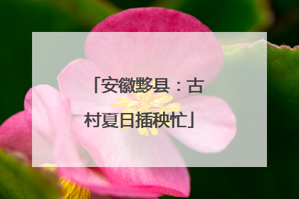 安徽黟县：古村夏日插秧忙