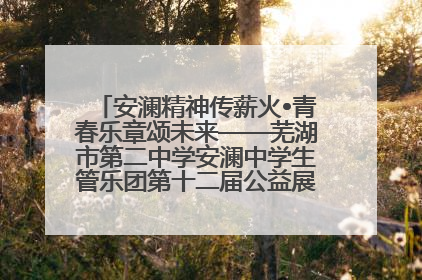 安澜精神传薪火•青春乐章颂未来——芜湖市第二中学安澜中学生管乐团第十二届公益展演圆满举行