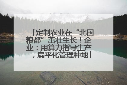定制农业在“北国粮都”茁壮生长！企业：用算力指导生产，扁平化管理种地