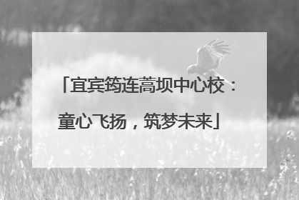 宜宾筠连蒿坝中心校：童心飞扬，筑梦未来