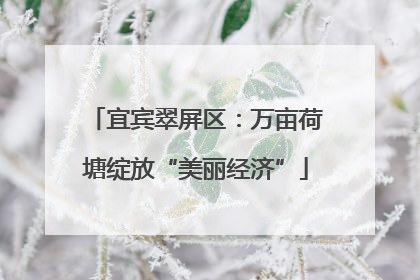宜宾翠屏区：万亩荷塘绽放“美丽经济”