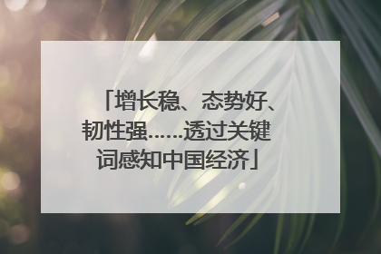 增长稳、态势好、韧性强……透过关键词感知中国经济
