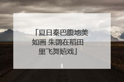 夏日秦巴腹地美如画 朱鹮在稻田里飞舞嬉戏