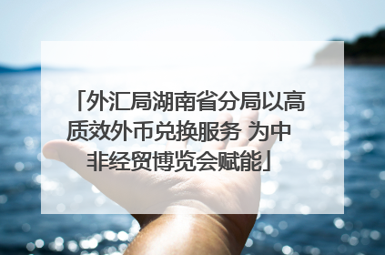 外汇局湖南省分局以高质效外币兑换服务 为中非经贸博览会赋能