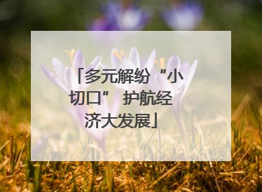 多元解纷“小切口” 护航经济大发展