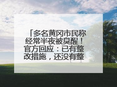 多名黄冈市民称经常半夜被臭醒！官方回应：已有整改措施，还没有整改情况