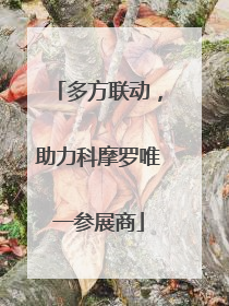 多方联动，助力科摩罗唯一参展商
