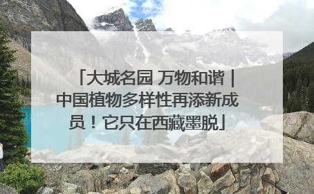 大城名园 万物和谐｜中国植物多样性再添新成员！它只在西藏墨脱