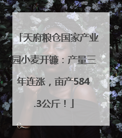 天府粮仓国家产业园小麦开镰：产量三年连涨，亩产584.3公斤！