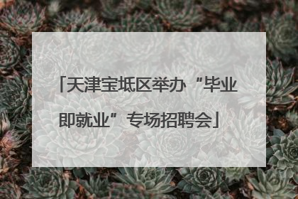 天津宝坻区举办“毕业即就业”专场招聘会