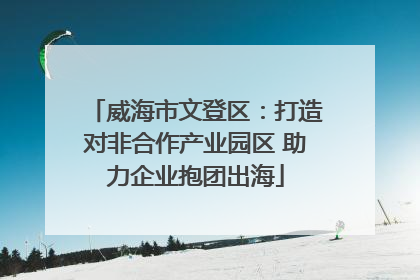 威海市文登区：打造对非合作产业园区 助力企业抱团出海