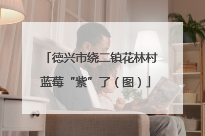 德兴市绕二镇花林村蓝莓“紫”了（图）