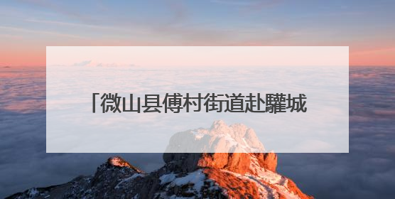 微山县傅村街道赴驩城镇开展观摩学习活动